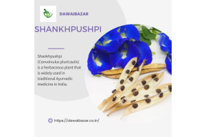 Shankhpushpi: The Ayurvedic Herb for Brain Health and Stress Relief
