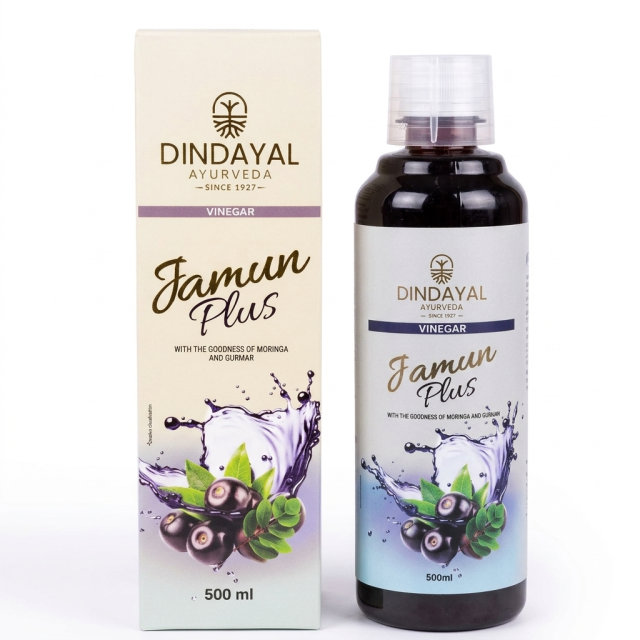 Dindayal Vinegar Jamun Plus