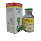 Baidyanath Medoharvidangadi Lauh