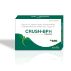 Shree Dhanwantri Crush-BPH Capsule (4*10C)
