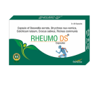 Shree Dhanwantri Rheumo-DS Capsule (300Cap)
