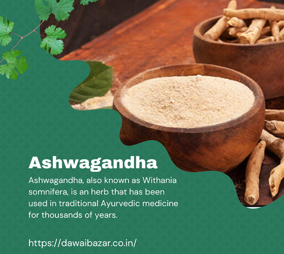 Uncovering the Power of Ashwagandha: Exploring Its Benefits for Mind and Body