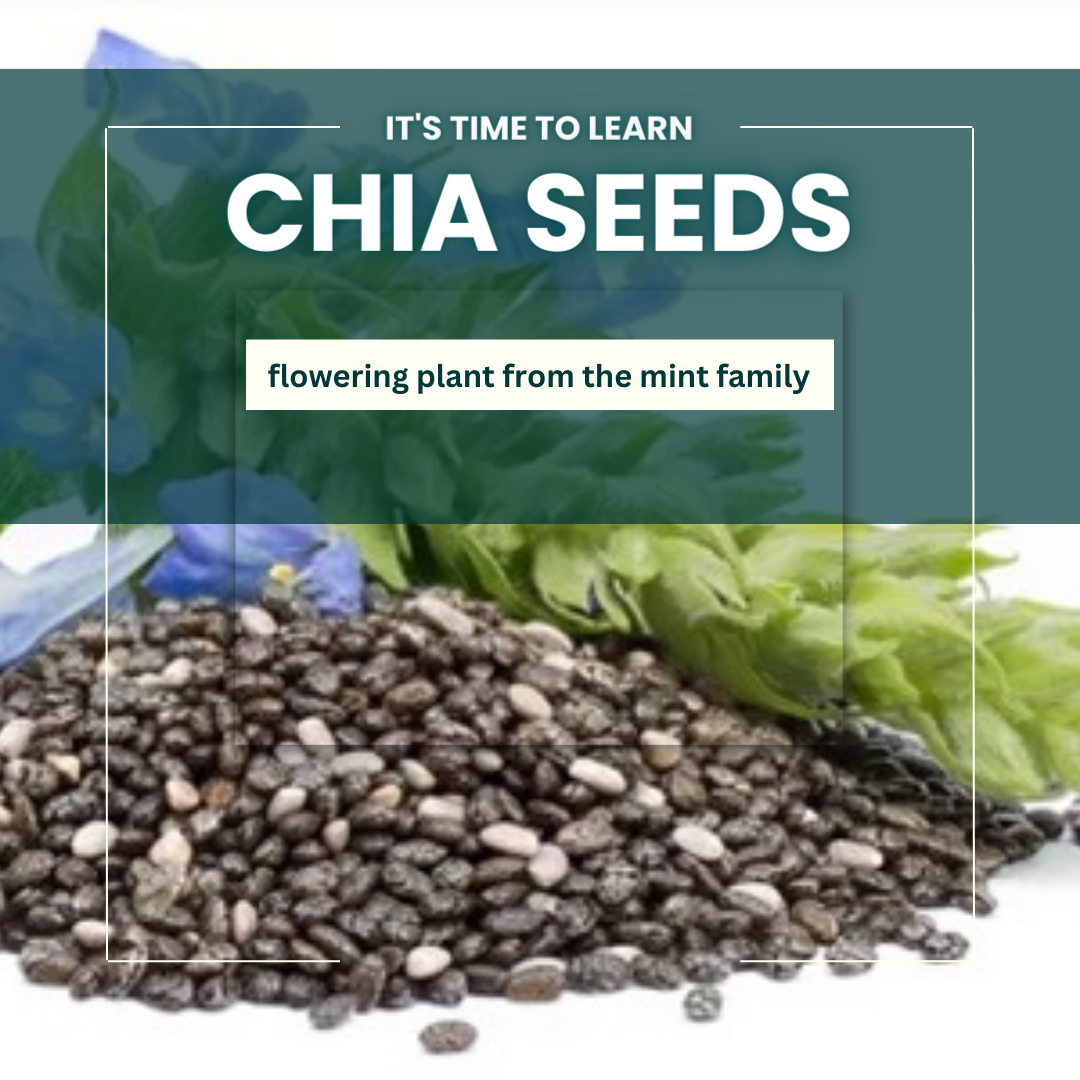 Supercharge Your Health with the Mighty Chia Seeds: Exploring the Benefits and Uses
