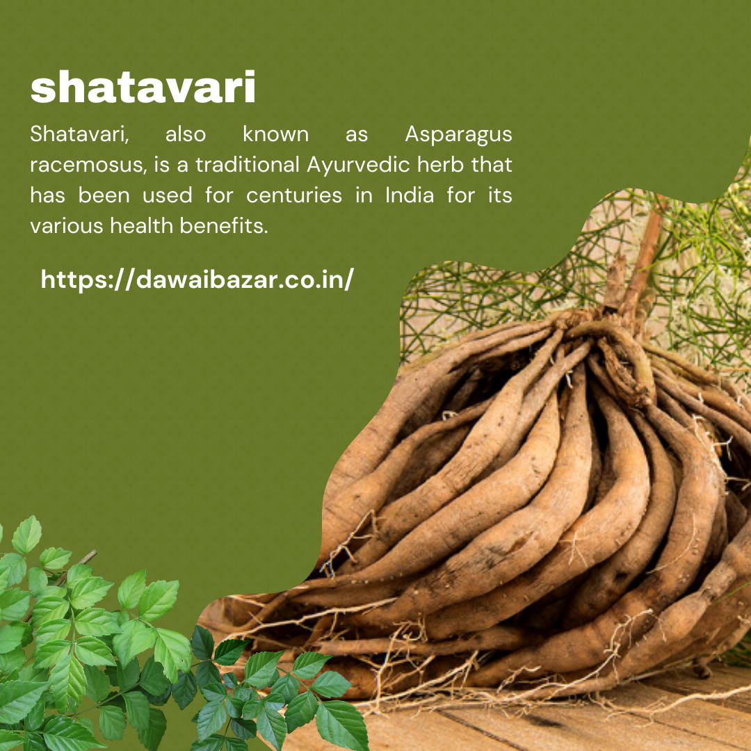Unlocking the Health Benefits of Shatavari: The Powerful Adaptogen Herb